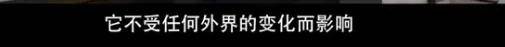 他们那么幸福恩爱,怎么突然离婚了……