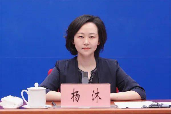 厅长杨沐,履新商务部