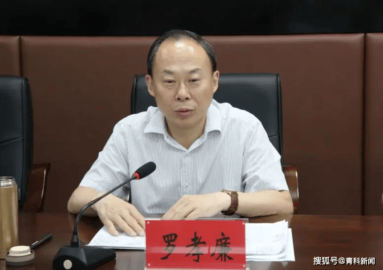 罗孝廉，被查
