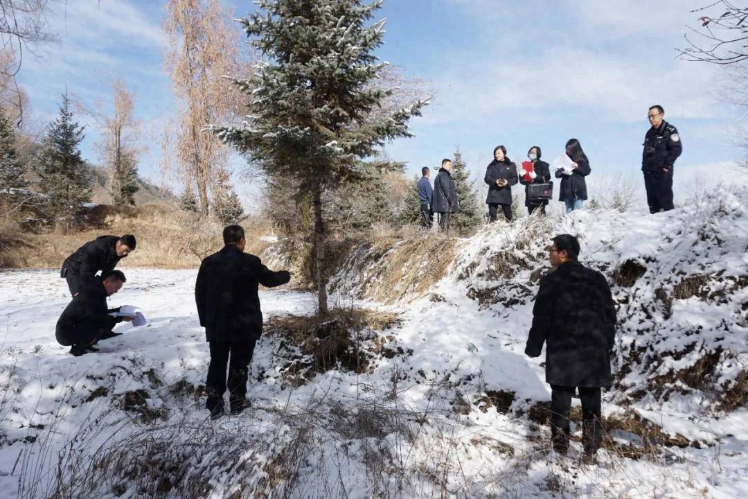 还有8天刑满释放,十年有期徒刑变为死缓,最高检抗诉的甘肃马某林案获改判