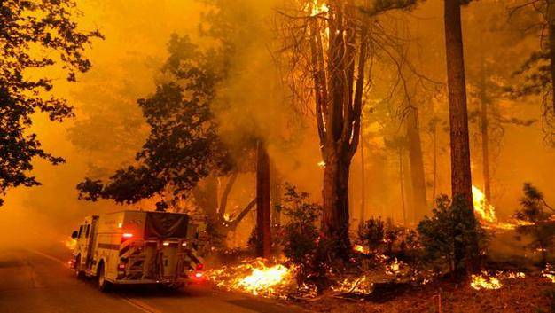 重磅!加州山火成美国噩梦,29人丧生,经济损失超2500亿美元!