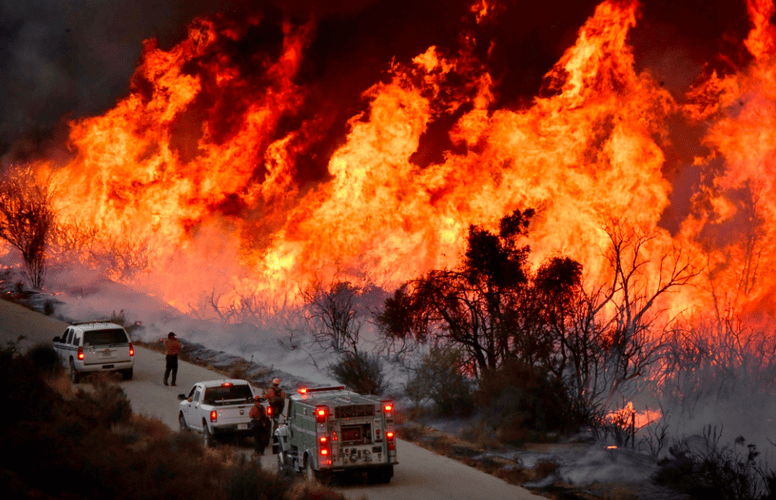 重磅!加州山火成美国噩梦,29人丧生,经济损失超2500亿美元!
