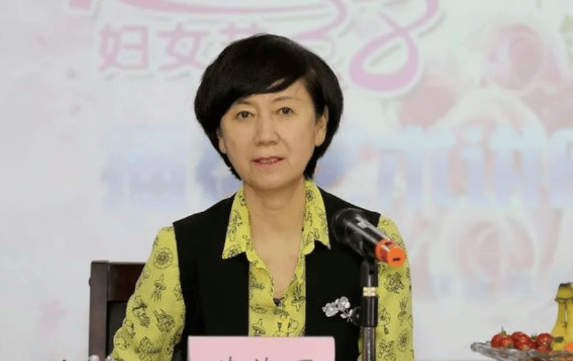 续效丽,被查