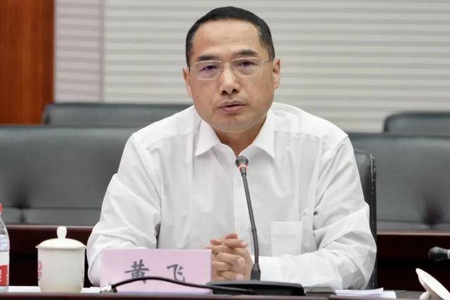 黄飞，被查