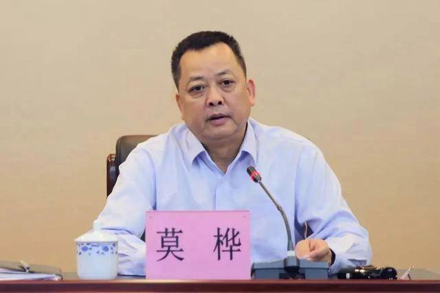 受贿超1亿!广西玉林市委原书记莫桦被判无期
