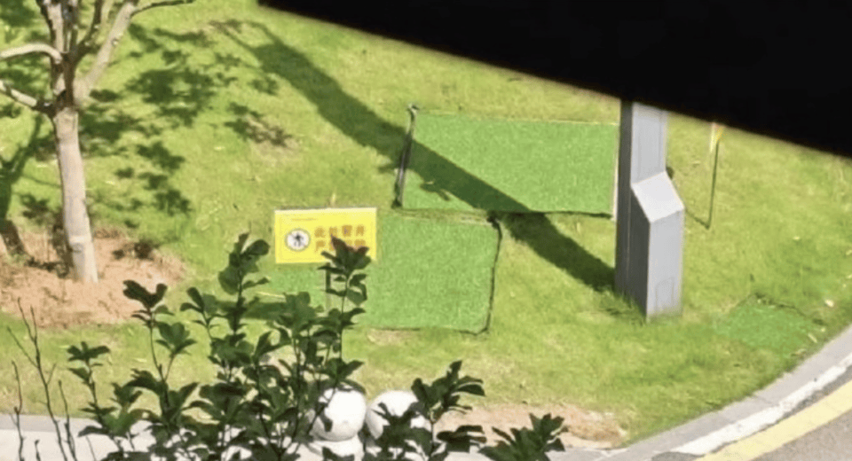 热闻|高校通报学生掉化粪池遇难!同学爆料:化粪池仅用板子盖住,再铺一层草皮美化