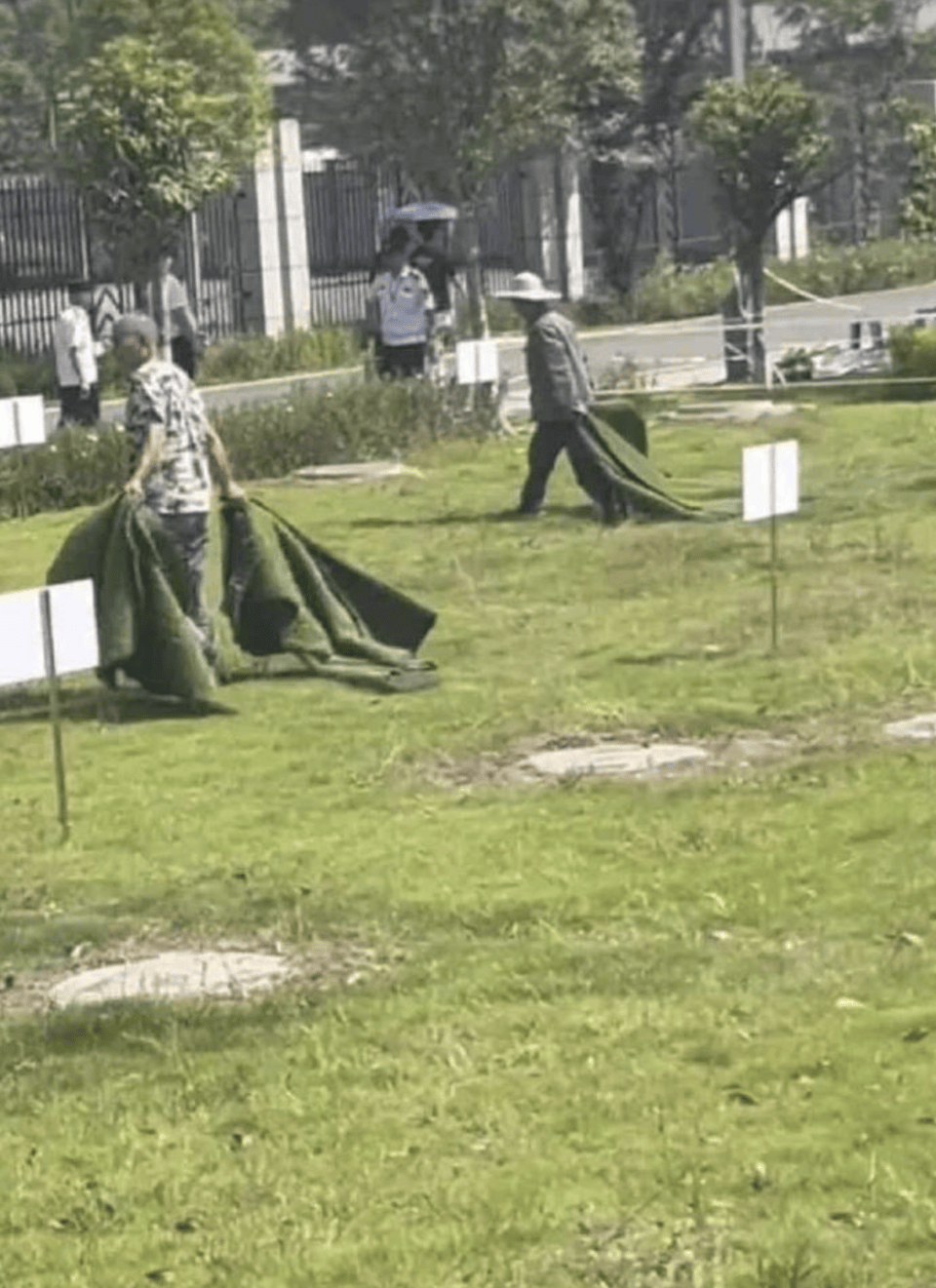热闻|高校通报学生掉化粪池遇难!同学爆料:化粪池仅用板子盖住,再铺一层草皮美化