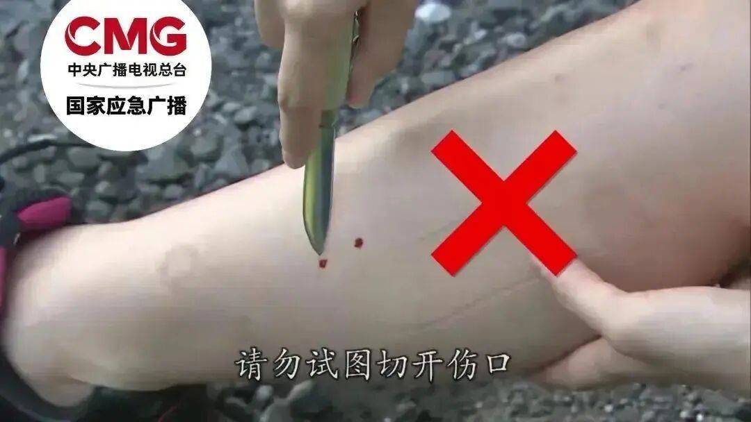女子半夜上厕所,马桶里突然窜出一条蛇!