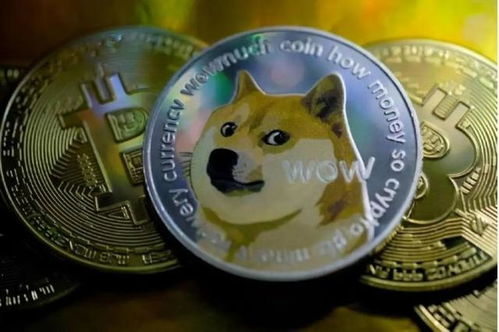 狗狗币现在一个多少(狗狗币一开始多少钱一个)