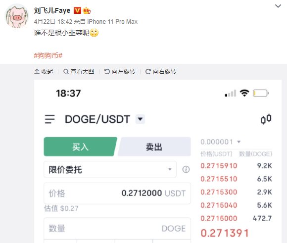 rx580狗狗币(1050ti 狗狗币) rx580狗狗币(1050ti 狗狗币)