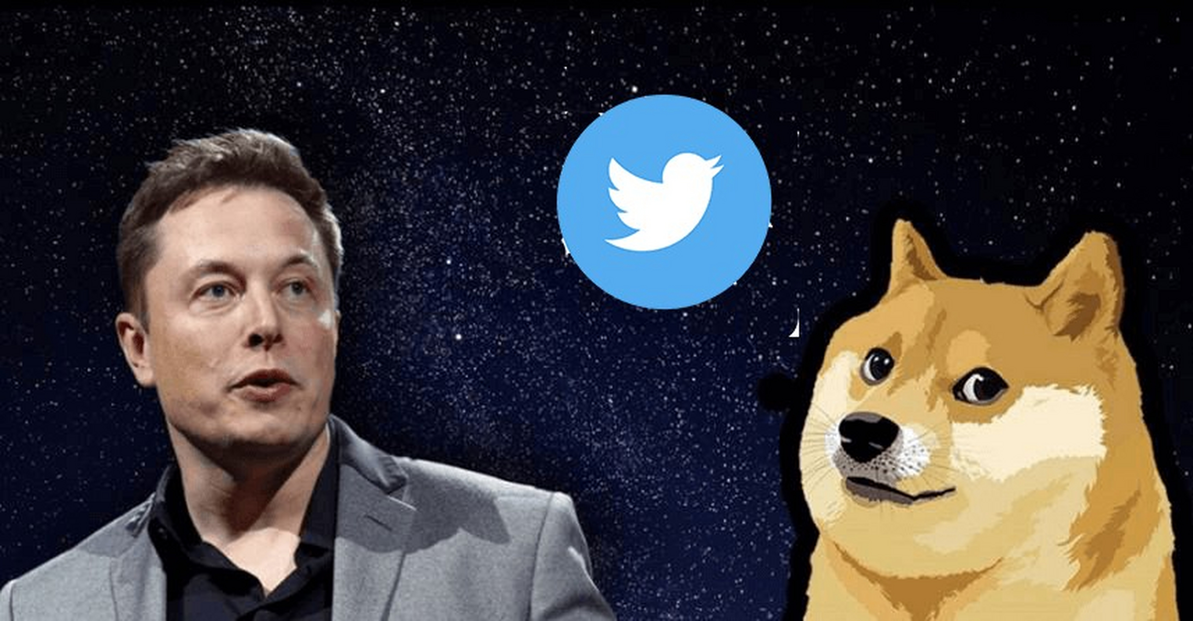 关于twitter狗狗币打赏的信息