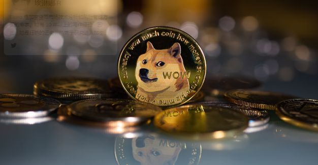 包含dogeking是狗狗币么的词条 包含dogeking是狗狗币么的词条