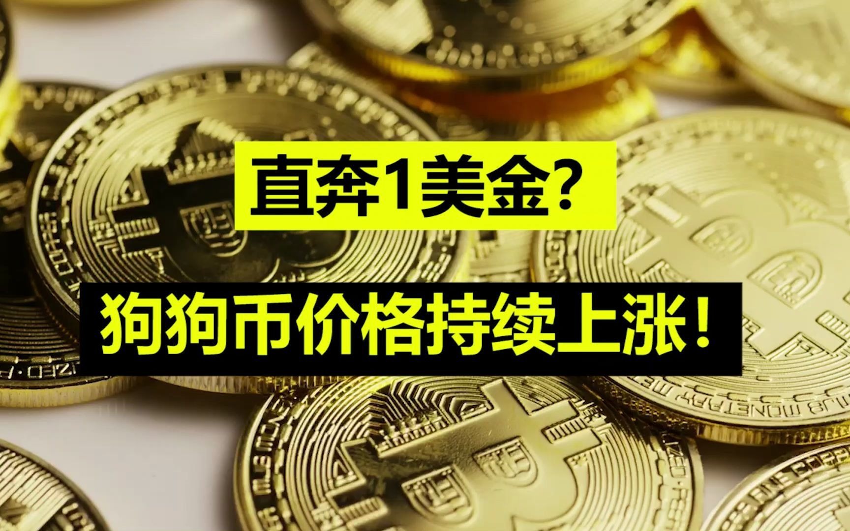 狗狗币还会(狗狗币还会破新高吗) 狗狗币还会(狗狗币还会破新高吗)