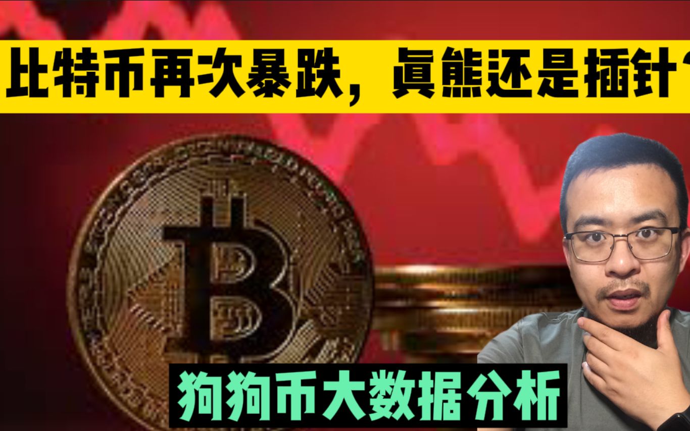 狗狗币能涨到比特币价格吗(狗狗币能成为下一个比特币吗) 狗狗币能涨到比特币价格吗(狗狗币能成为下一个比特币吗)