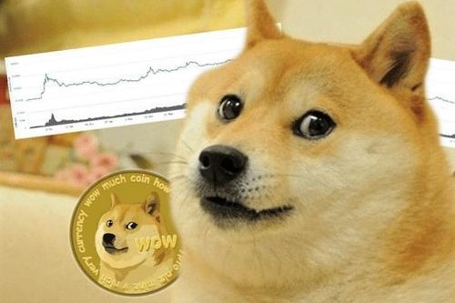 狗狗币拿的住吗(狗狗币到底能不能买)