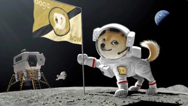 新手怎么囤狗狗币(狗狗币最高涨到多少钱一个) 新手怎么囤狗狗币(狗狗币最高涨到多少钱一个)