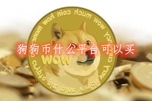 在那能买狗狗币(从哪里能买狗狗币)