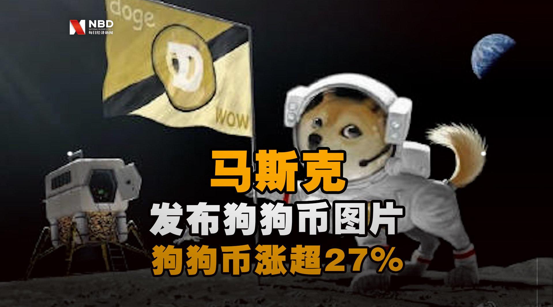 就是狗狗币(那个是狗狗币) 就是狗狗币(那个是狗狗币)