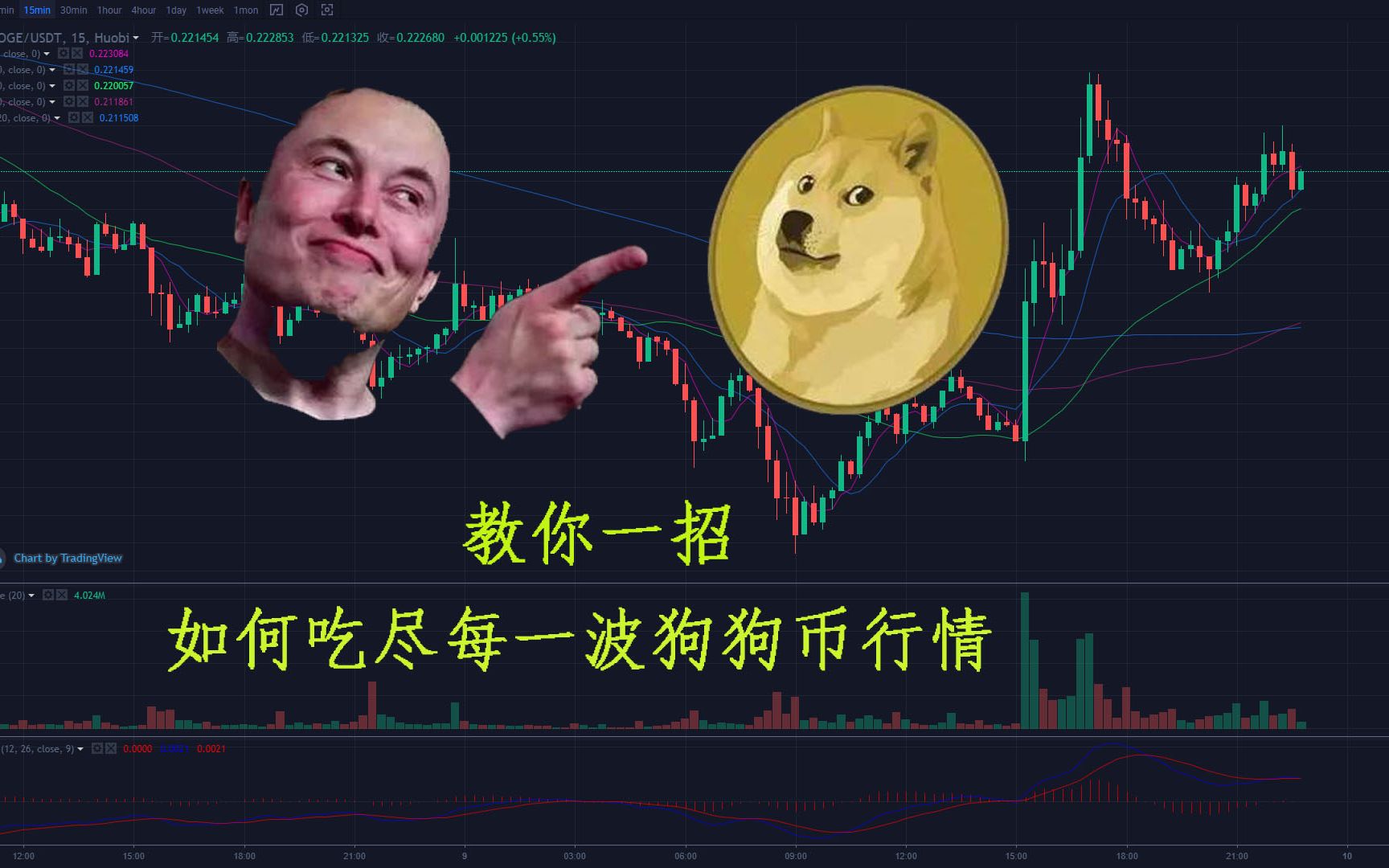如何狗狗币(狗狗币怎么操作,有谁知道)