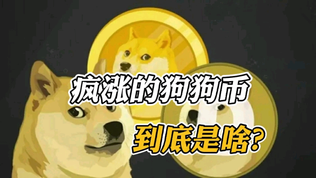 狗狗币近一年翻了多少倍(狗狗币从开始到现在翻了多少倍) 狗狗币近一年翻了多少倍(狗狗币从开始到现在翻了多少倍)