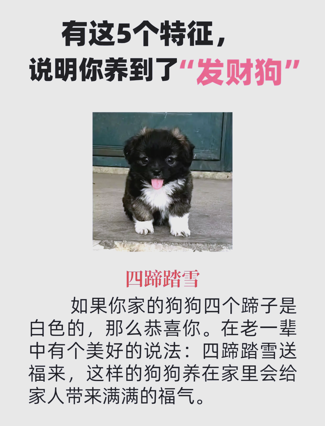 狗狗币二狗三狗(二狗币是什么意思) 狗狗币二狗三狗(二狗币是什么意思)