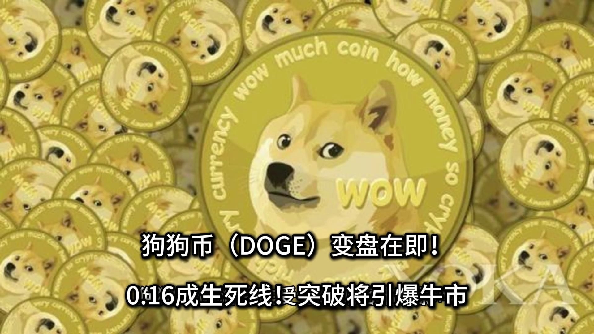 关于哪里可以看狗狗币当日成交量的信息
