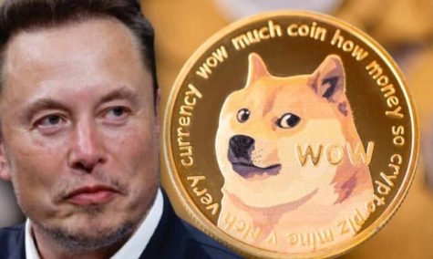 10万能买多少狗狗币(十万块买狗子你买吗原版视频) 10万能买多少狗狗币(十万块买狗子你买吗原版视频)
