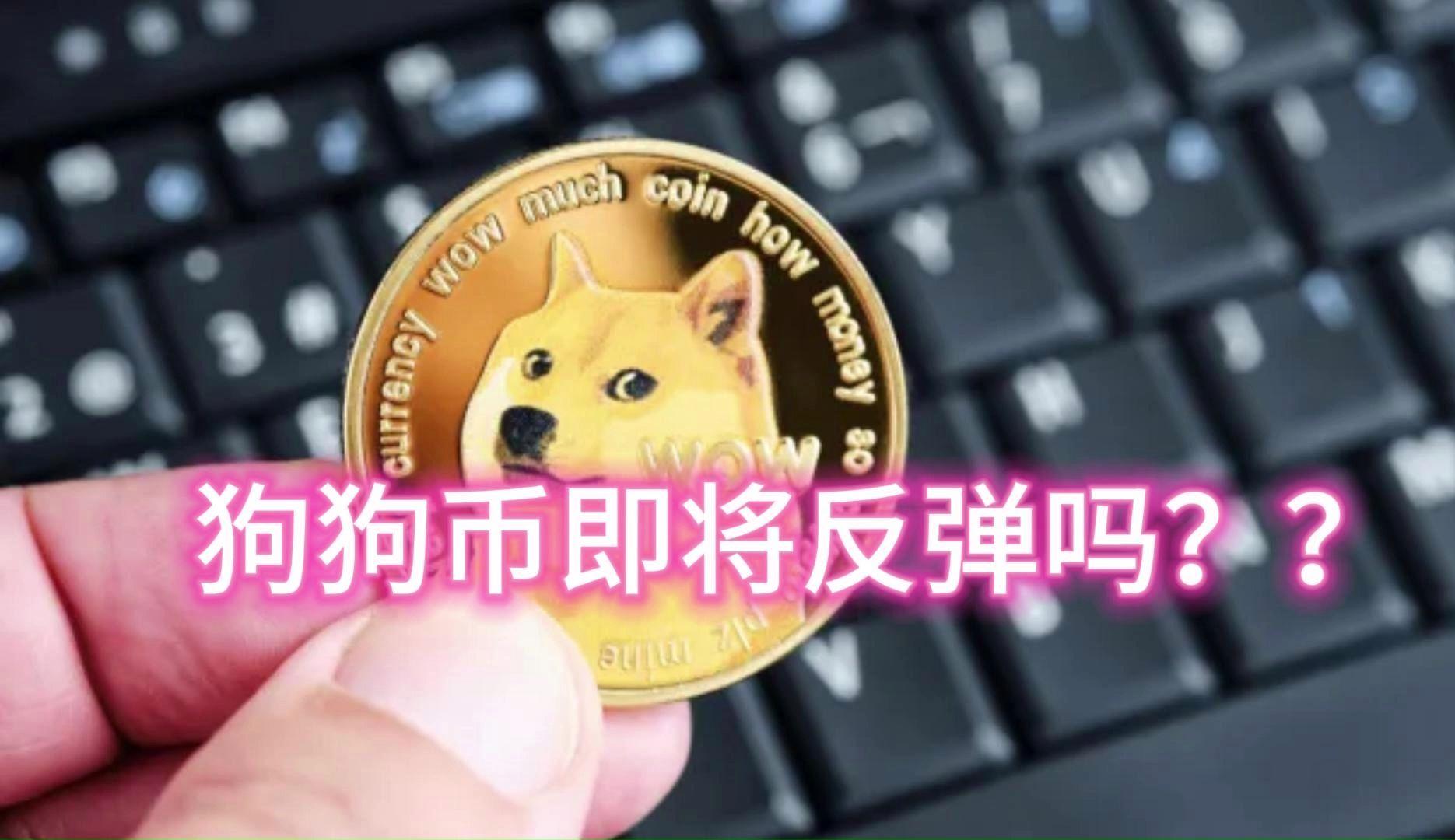 从哪里可以交易狗狗币(中国哪里可以交易狗狗币)